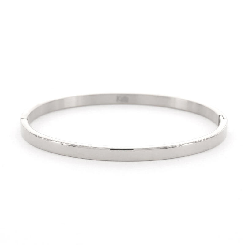 2055 Armband Staal de kleur Zilver Klassiek plat 4mm Kalli Jewelry